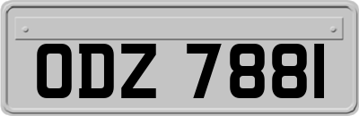 ODZ7881