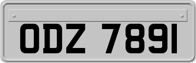 ODZ7891