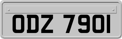 ODZ7901