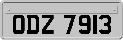 ODZ7913