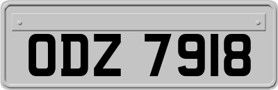 ODZ7918