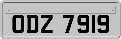 ODZ7919