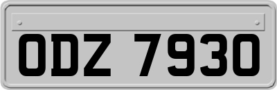 ODZ7930