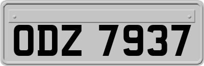 ODZ7937