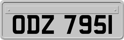 ODZ7951
