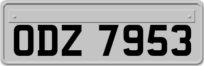 ODZ7953