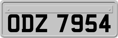 ODZ7954