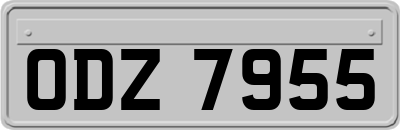 ODZ7955