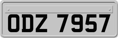ODZ7957