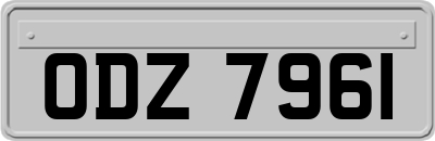 ODZ7961