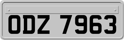 ODZ7963