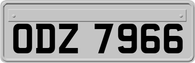 ODZ7966