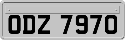 ODZ7970