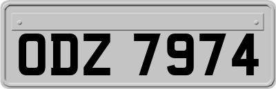 ODZ7974