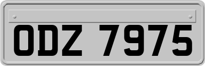 ODZ7975