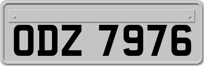 ODZ7976