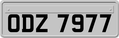 ODZ7977