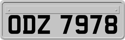 ODZ7978