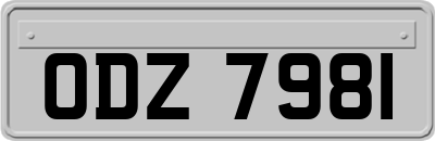 ODZ7981