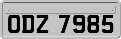 ODZ7985