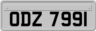 ODZ7991