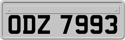 ODZ7993