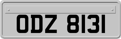 ODZ8131