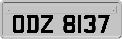 ODZ8137