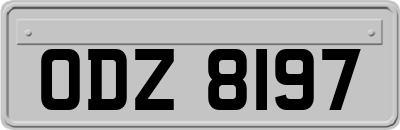 ODZ8197