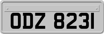 ODZ8231