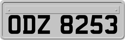 ODZ8253