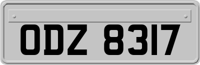 ODZ8317