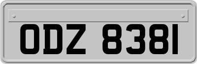 ODZ8381