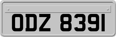 ODZ8391