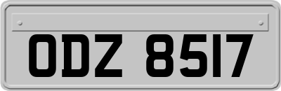 ODZ8517
