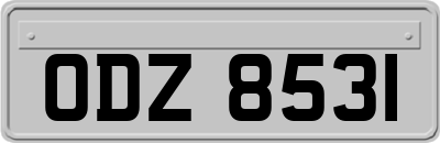 ODZ8531
