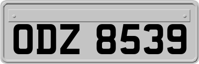 ODZ8539