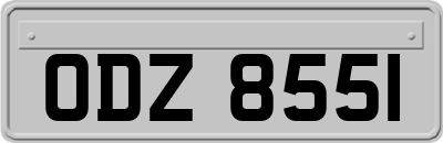 ODZ8551