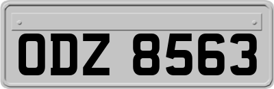 ODZ8563