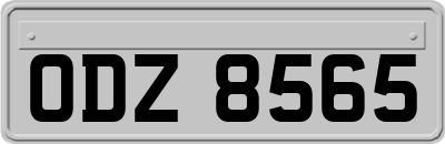 ODZ8565