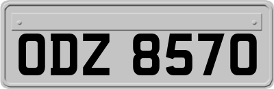 ODZ8570