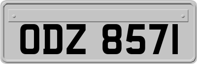 ODZ8571