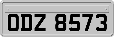 ODZ8573