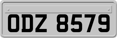 ODZ8579