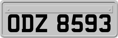 ODZ8593