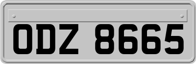 ODZ8665