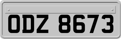 ODZ8673
