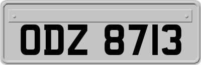 ODZ8713
