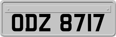 ODZ8717