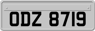 ODZ8719